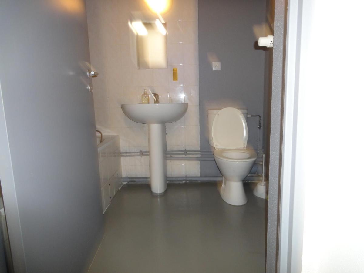 Logement Type Studio 1 Piece Proche Zenith Страсбург Экстерьер фото