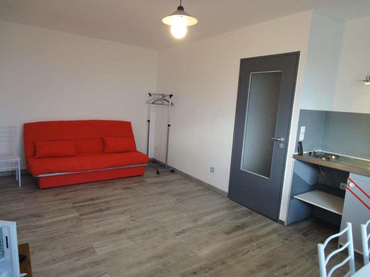 Logement Type Studio 1 Piece Proche Zenith Страсбург Экстерьер фото