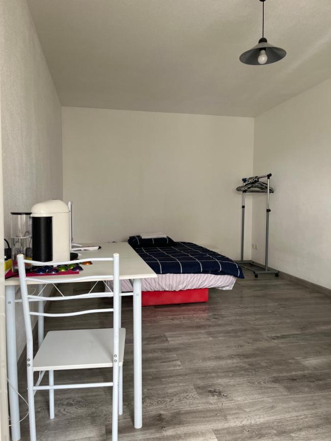 Logement Type Studio 1 Piece Proche Zenith Страсбург Экстерьер фото