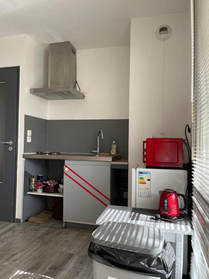 Logement Type Studio 1 Piece Proche Zenith Страсбург Экстерьер фото
