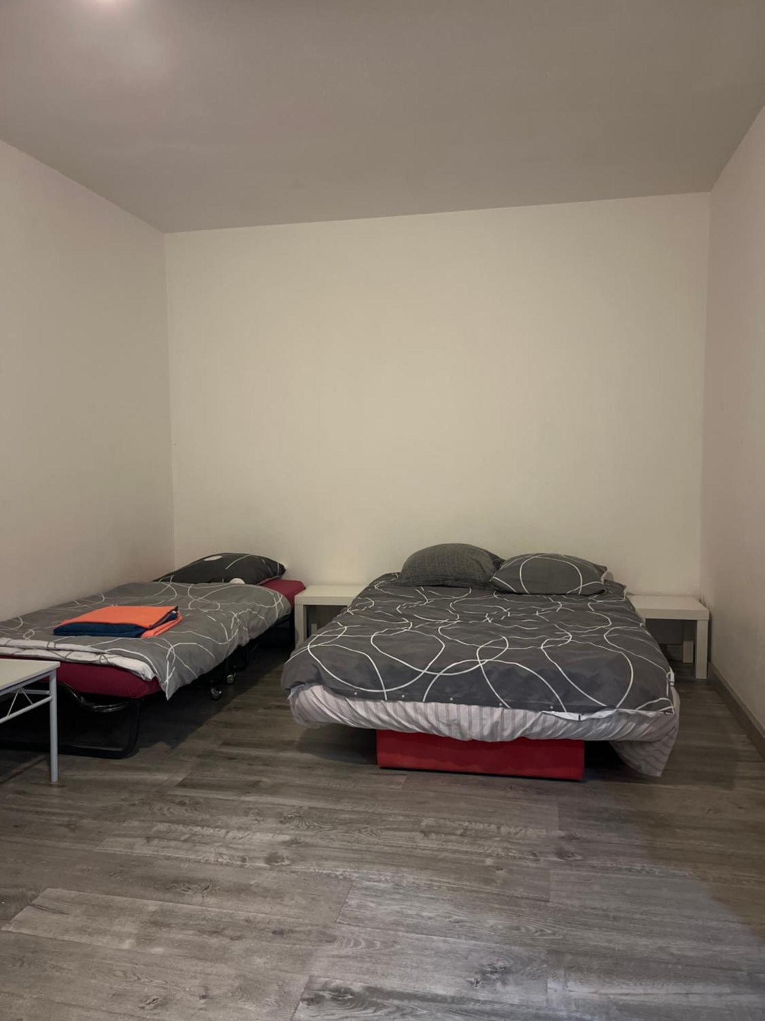 Logement Type Studio 1 Piece Proche Zenith Страсбург Экстерьер фото